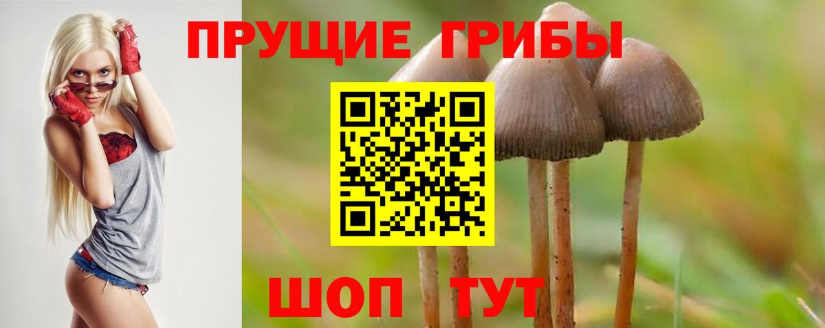 Калининград  Псилоцибиновые грибы Cubensis  магазин  наркотиков  Галлюциногенные грибы Psilocybine cubensis  Вход с VPN 